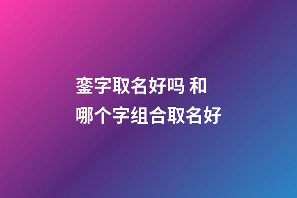 銮字取名好吗 和哪个字组合取名好